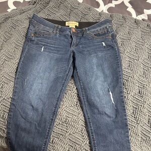 Democracy Dark Blue Skinny Jeans